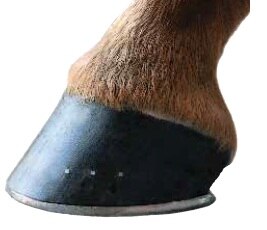 hoof