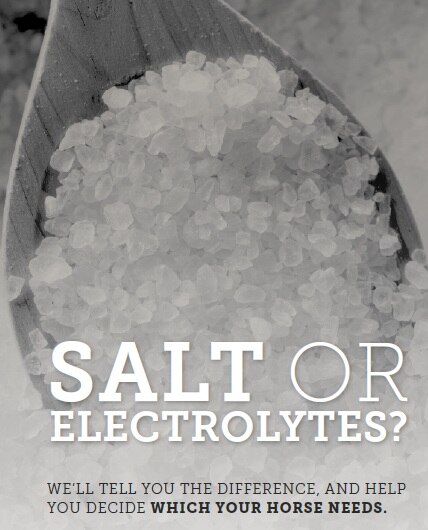 salt or electrolytes headline
