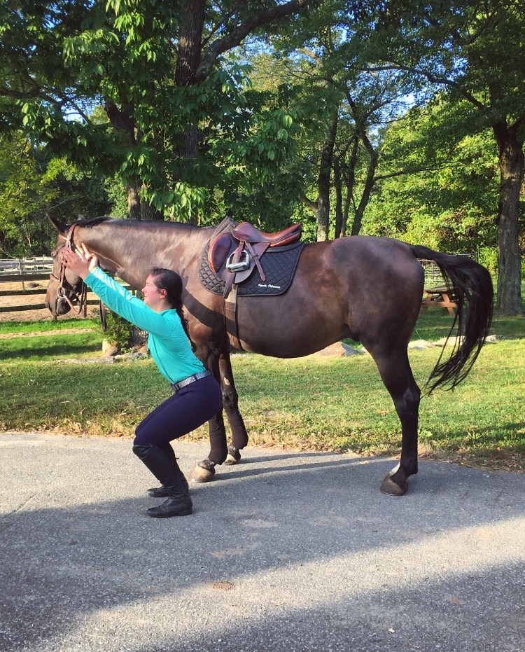 Yoga for the (Not Very Flexible) Equestrian | SmartPak Blog