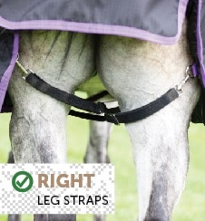 Blanket Elastic Leg Straps - Summerside Tack and Equestrian Wear