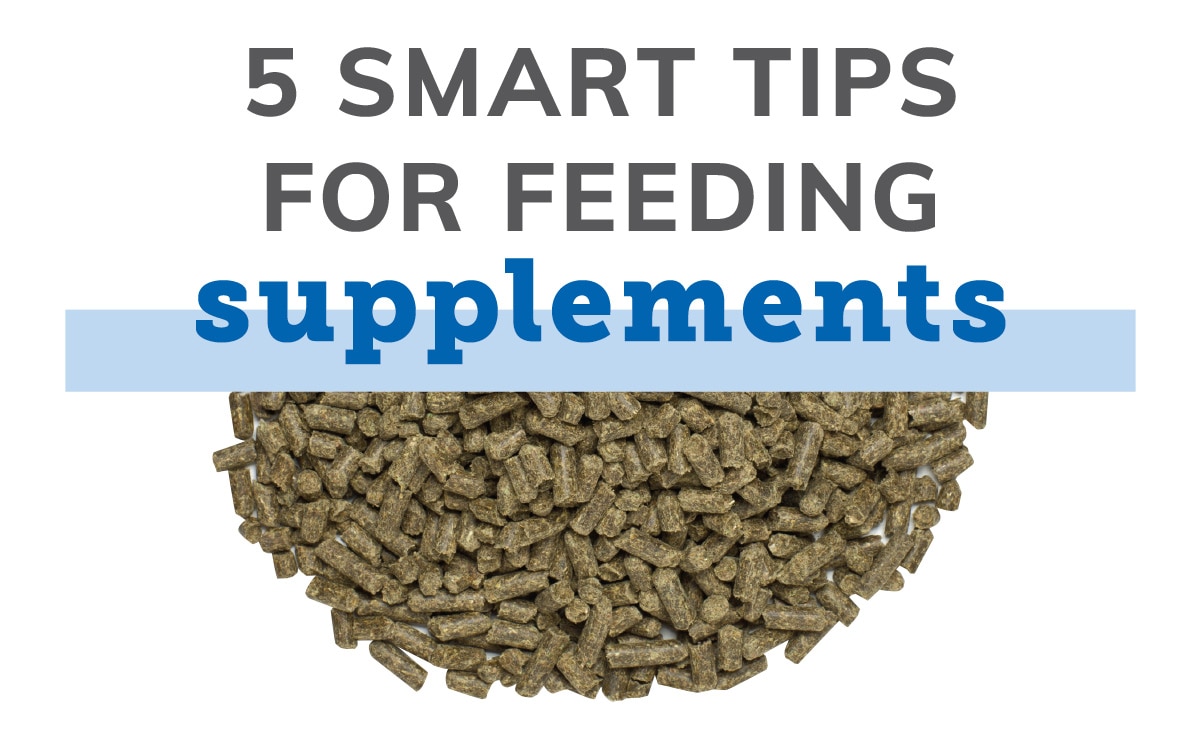 Horse Supplement Storage Tips - KPP