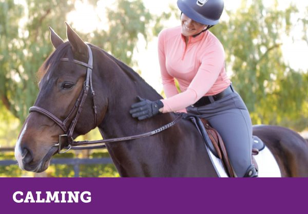 Deconstructing the Saddle Pad – The Horse