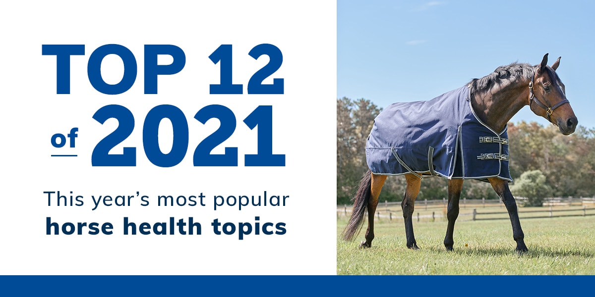 SmartPak’s Top 12 of 2021 SmartPak Blog