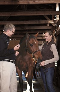 A veterinarian and horse owner speaking during an appointment.
