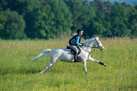 A woman galloping a white horse in field.