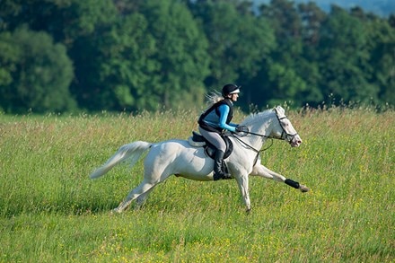 A woman galloping a white horse in field.