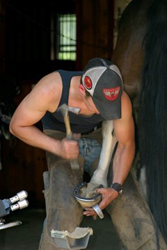 A farrier holding up a horse’s hind leg, while hammering a nail in place