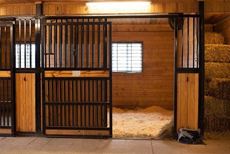 A horse stall with clean bedding, good ventilation, and natural light.