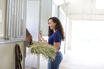 A woman giving a horse hay in its stall.