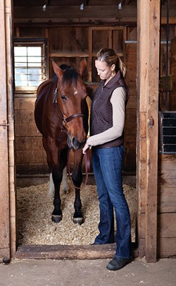 A concerned horse owner standing next to a bay horse in its stall.