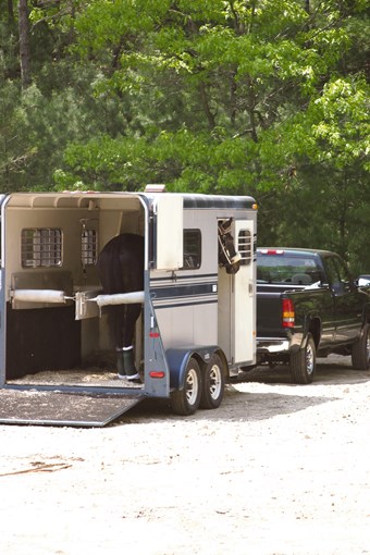 Image of horse in trailer