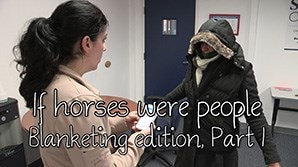 If horses were people - Blanketing Edition, Part 1