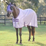 SmartPak Classic Fly Sheet