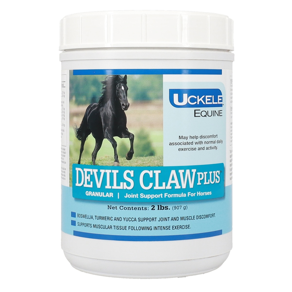 Is Devil's Claw banned by the FEI? – The Herbal Horse and Pet