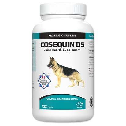 Is Cosequin Good for Dogs With Arthritis: Expert Insights