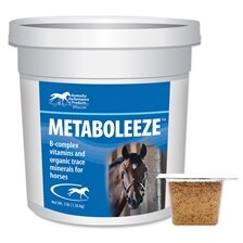 gain weight horse supplements