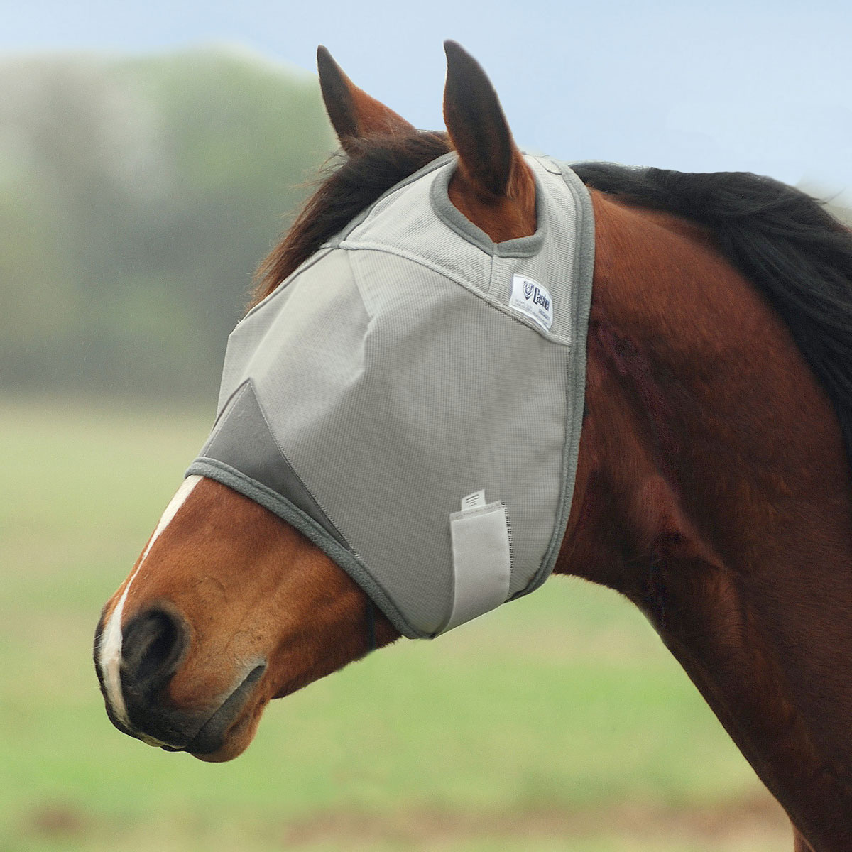Crusader Blue Fly Mask Standard Nose with Ears 