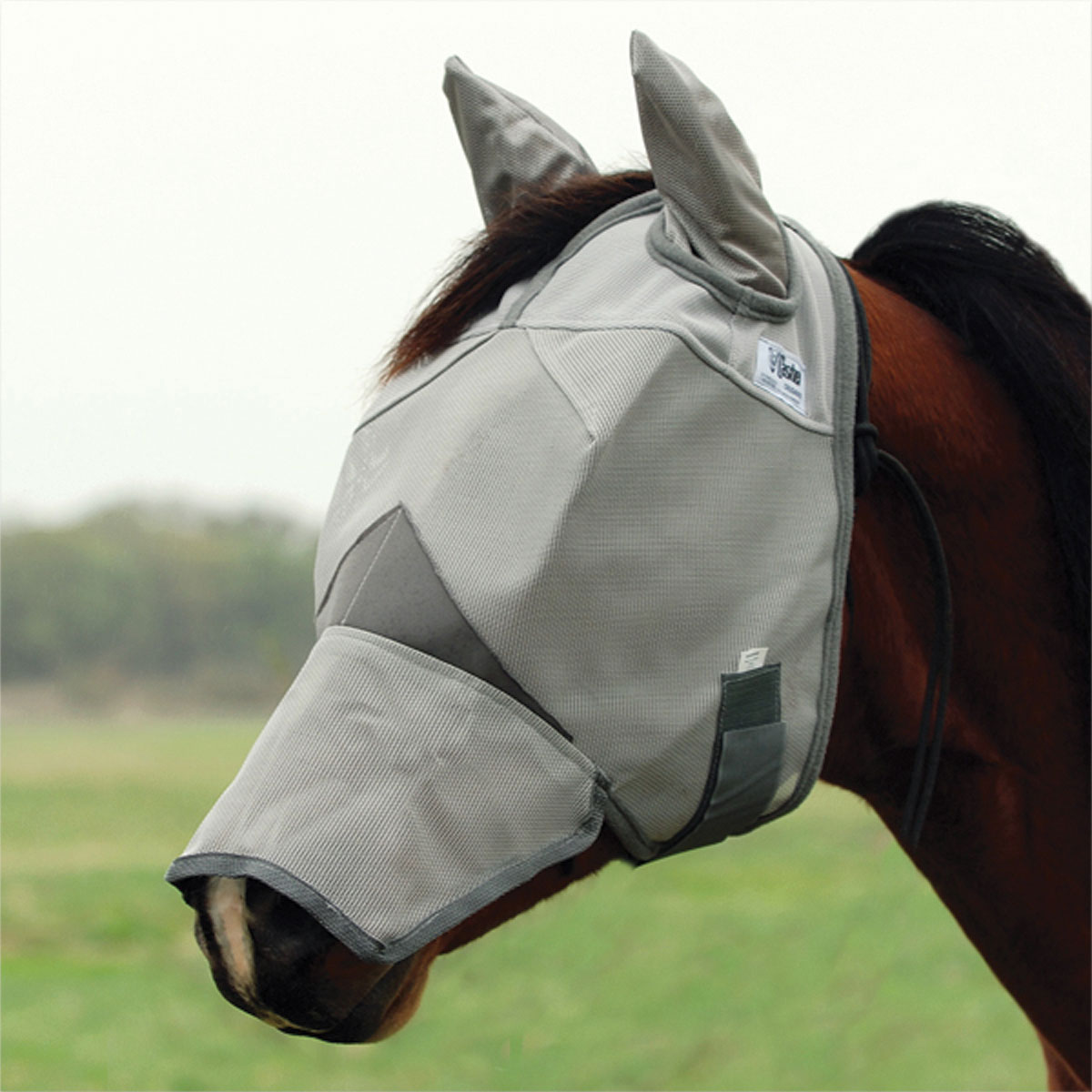 Horse Fly Mask Face Mask with Mesh Eyes Ears Extra Comfort Lycra Equine Avoid UV for Pony/Cob/Arab