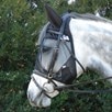 Cashel Quiet Ride&trade; Fly Mask w/ Ears - 