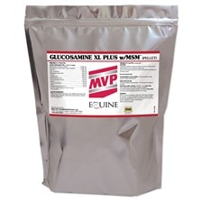 Glucosamine XL Plus w/MSM