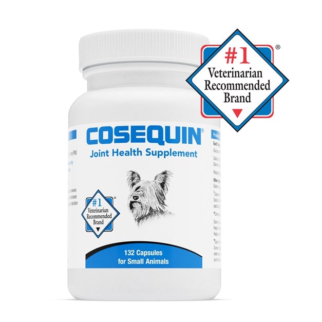 Nutramax Cosequin Joint Health Supplement for Senior Cats, 60 Sprinkle  Capsules, On Sale