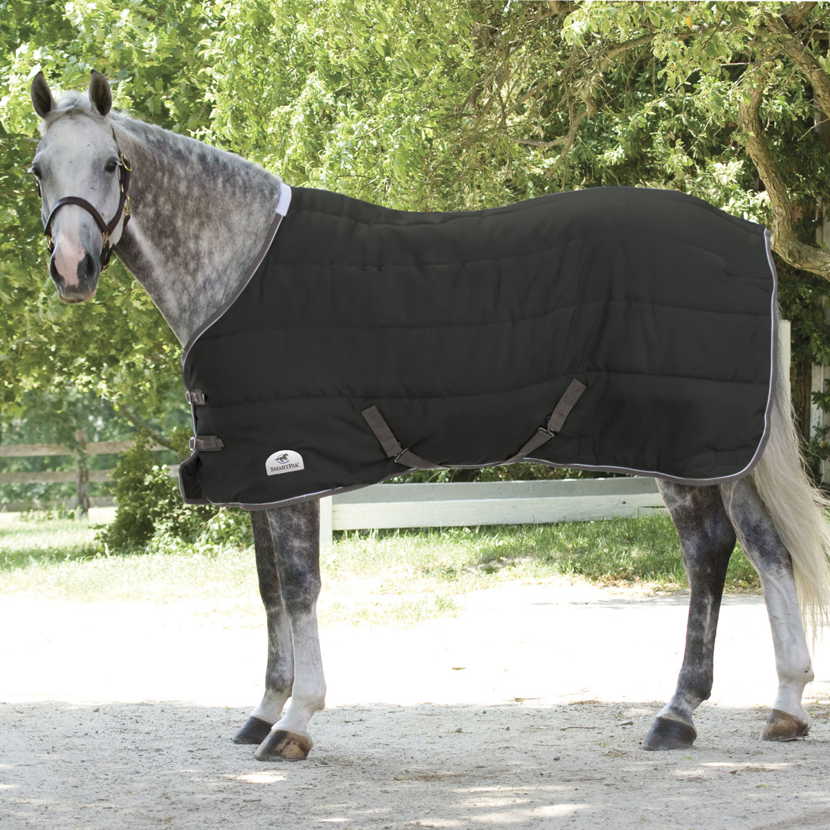 AJ Tack Horse Stable Blanket Rug Waterproof Medium Weight 420 Denier 300g Fill Pink Polka Dots Brown 