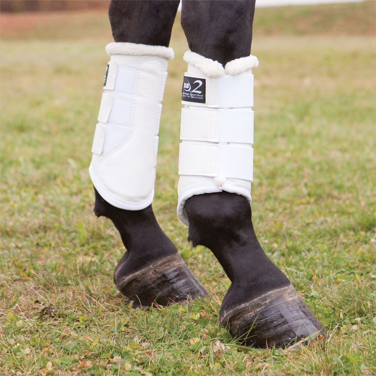 white travel boots for horses