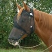 Crusader Fly Mask - Quiet Ride - Long Without Ears - 