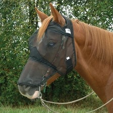 Crusader Fly Mask - Quiet Ride - Long Without Ears