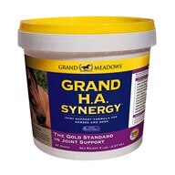 Grand HA Synergy