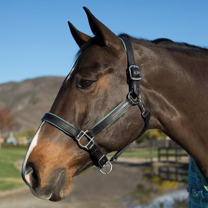 SmartPak Soft Padded Leather Halter - Clearance!