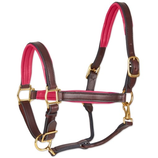 Perri's Triple Stitched Leather Halter with Nameplate, Horse Size