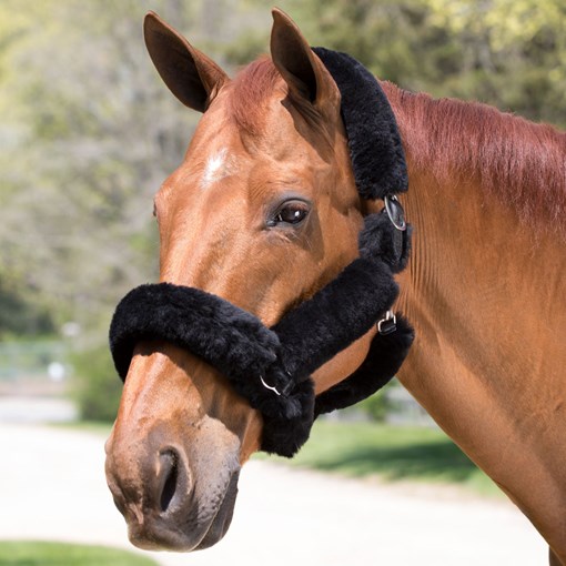 SmartPak Sheepskin Shipping Halter