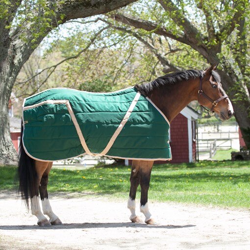 Baker Quarter Sheet - Red Ribbon Tack