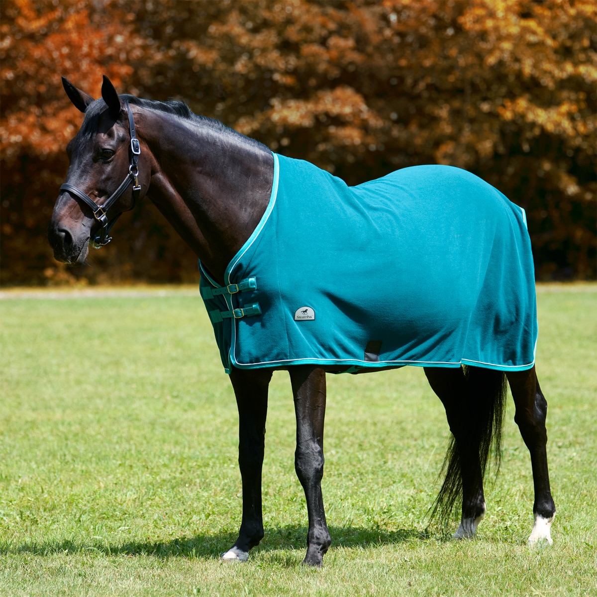 Outlet Horses Fleece Tie Blanket