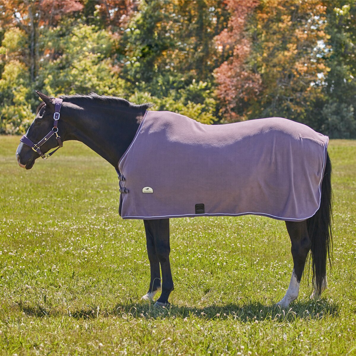 Horse x-large Masta Hood Fleece Black 