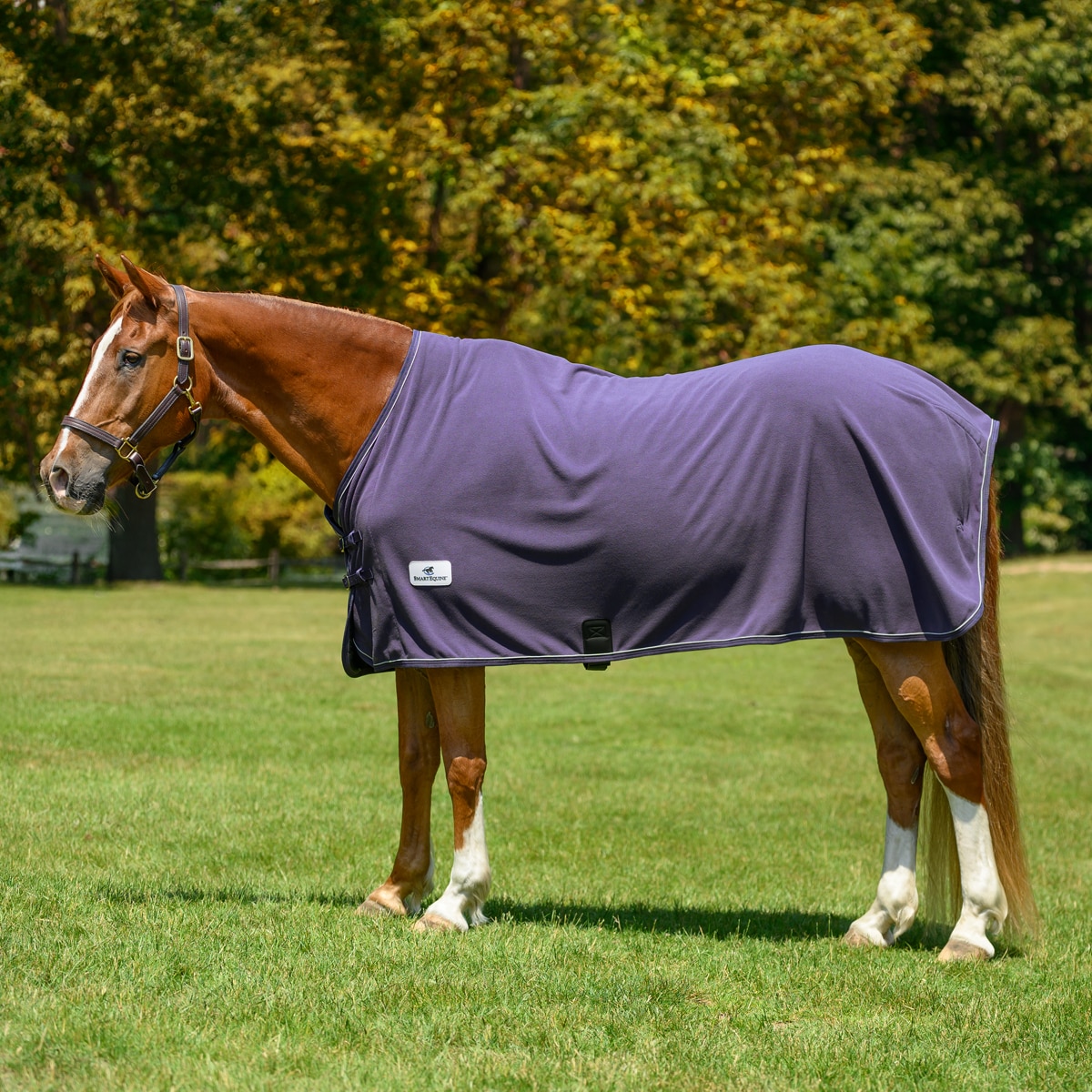 Couverture refroidissante polaire Horseware Newmarket - Charbon de bois Whitney / 72