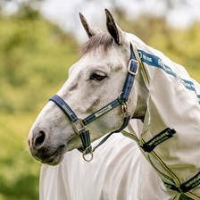 Rambo® Fieldsafe™ Halter