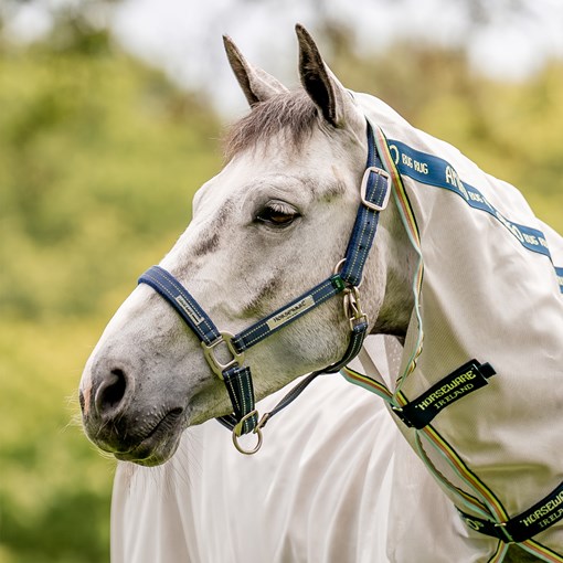 Fieldsafe Halter