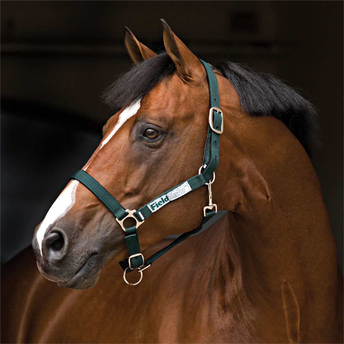 Horse Field Headcollars Hook-and-Loop Quick Release Safety System Safe Turn-Out Halters