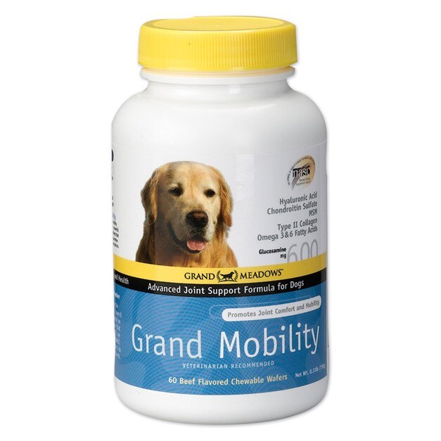 do joint supplements help dogs