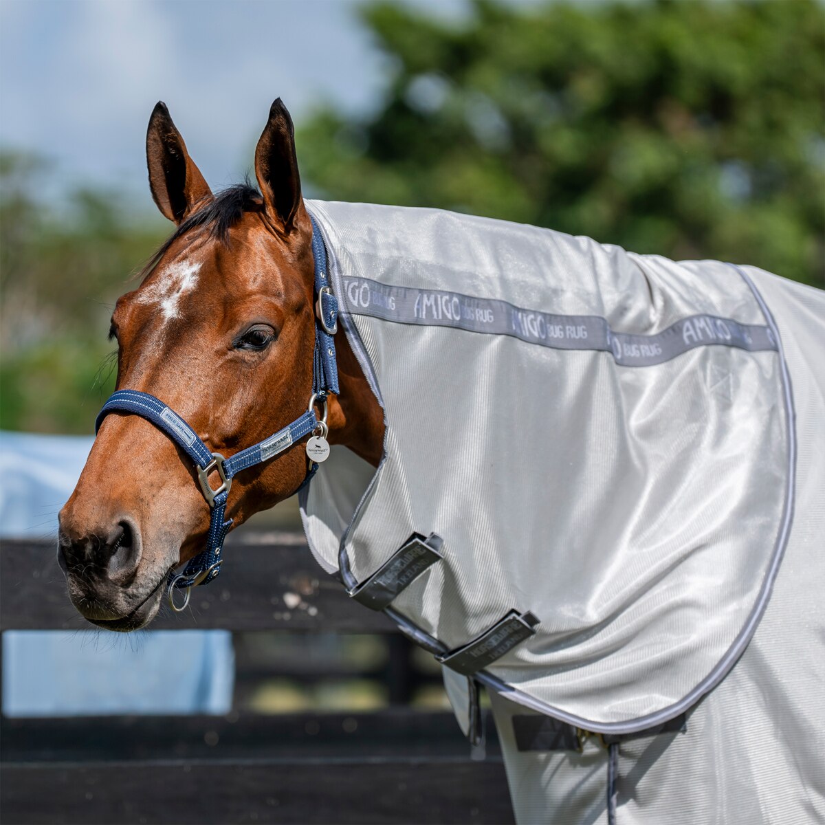 Amigo Bug Rug Plus Pony – Coperta Antimosche Leggera Argento/Titanio – Proteggi Il Tuo Pony