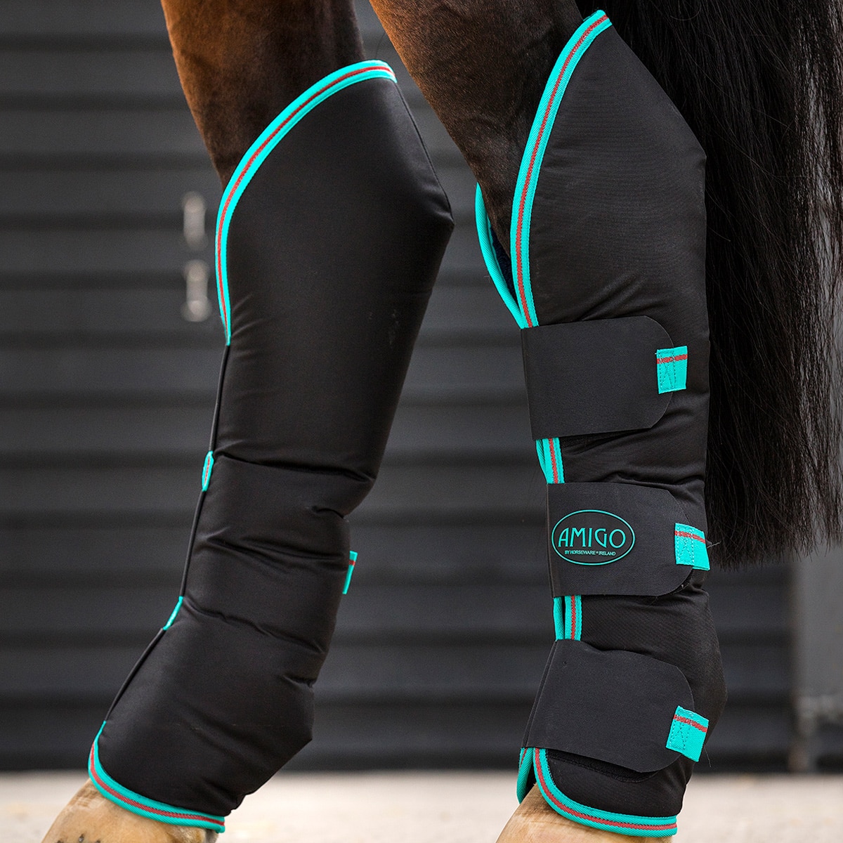 teal horse boots