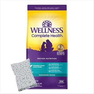 Wellness Complete Health Adult Whitefish & Sweet Potato
