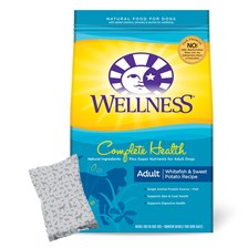 Wellness Complete Health® Adult Whitefish & Sweet Potato