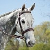 Edgewood Hunter Bridle - 