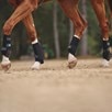 SmartPak SmartCore&trade; Deluxe Support Boots - Clearance! - Black