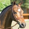Rodrigo Fancy Stitched Wide Noseband Bridle - Medium Brown