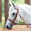 Rodrigo Fancy Stitched Wide Noseband Bridle - Medium Brown