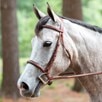 Rodrigo Fancy Stitched Padded Bridle - 